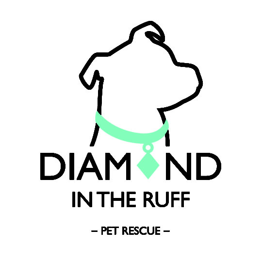 Diamond in the Ruff Logo