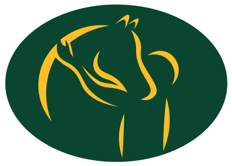 Bison Strides Logo